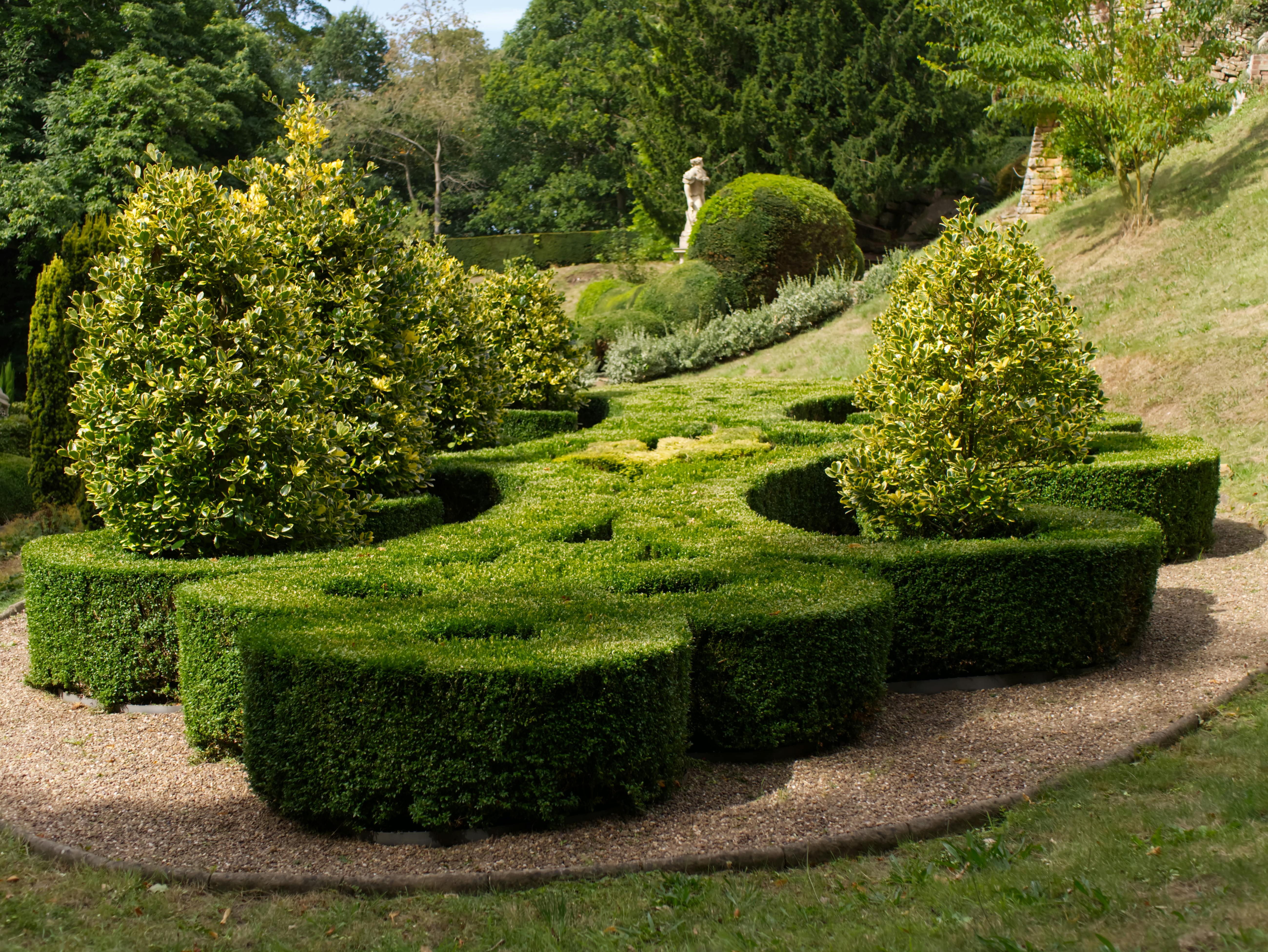 Professional Garden Services in Johannesburg